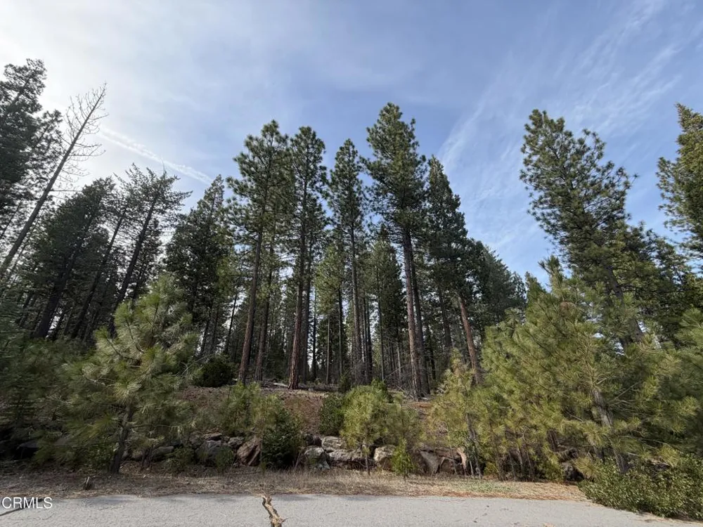 6 Kirby Court Burney, CA 96013