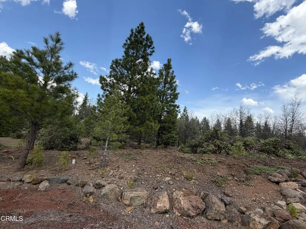 6 Kirby Court Burney, CA 96013