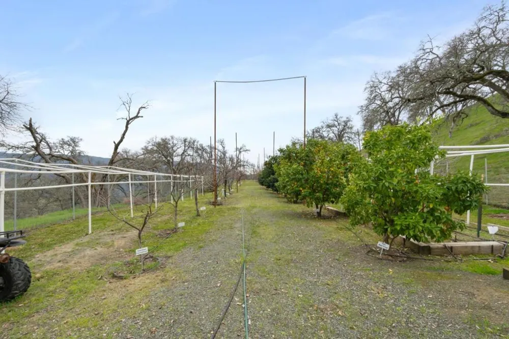 1525 Headlands Drive Napa, CA 94558