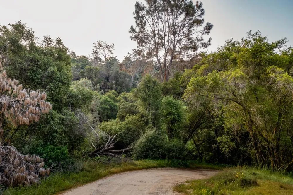 13804205 Pennyroyal Lane Prather, CA 93651