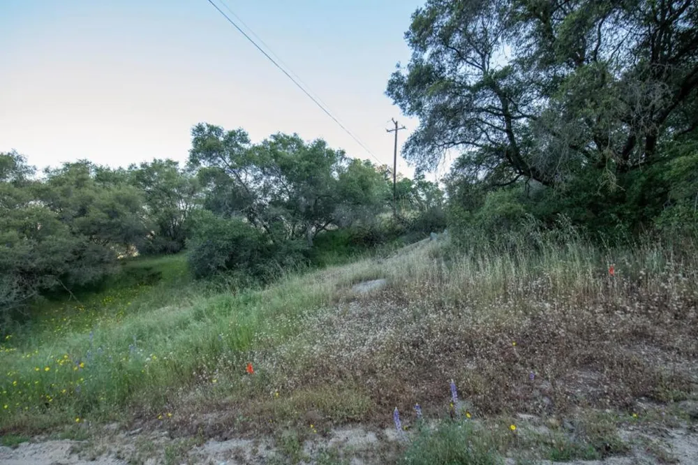 13804205 Pennyroyal Lane Prather, CA 93651