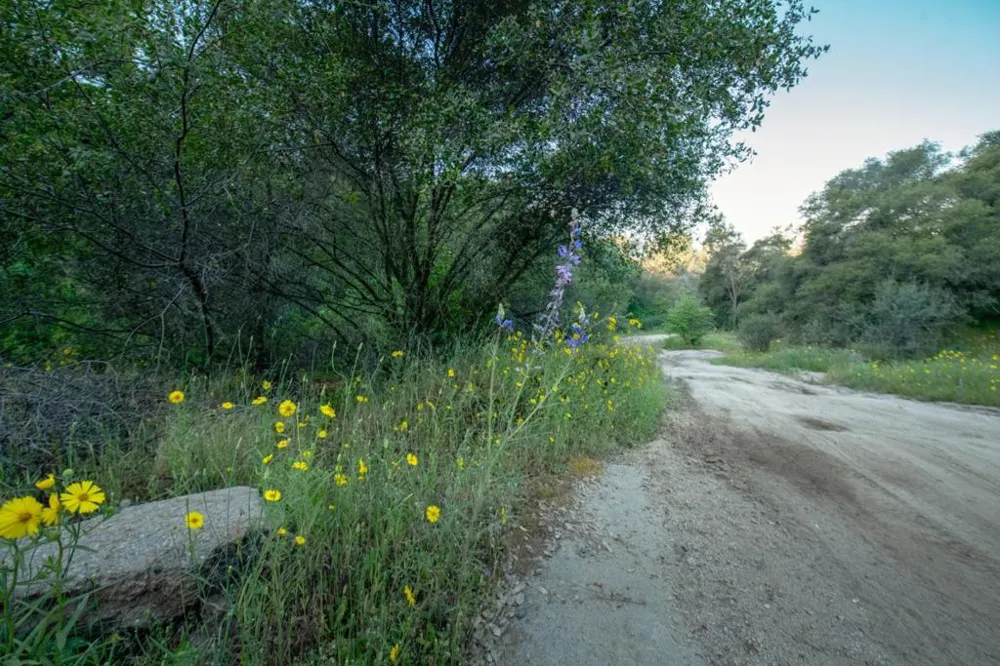 13804205 Pennyroyal Lane Prather, CA 93651