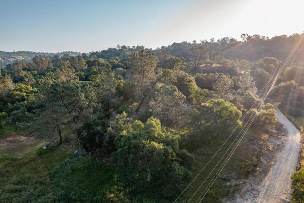 13804205 Pennyroyal Lane Prather, CA 93651