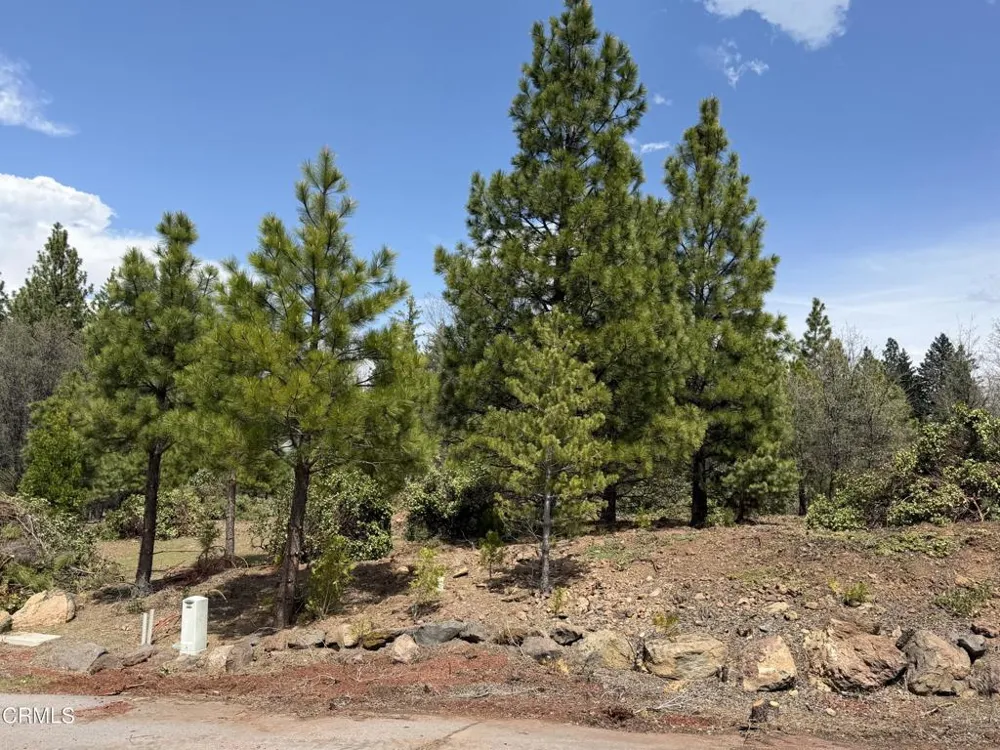 3 Kirby Court Burney, CA 96013