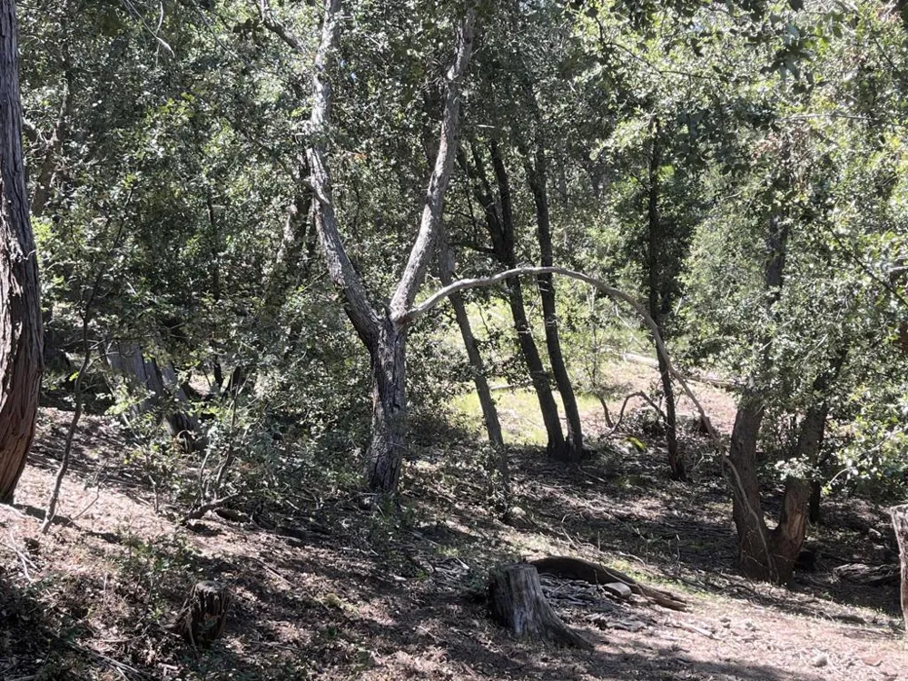 Middleridge Drive Idyllwild, CA 92549