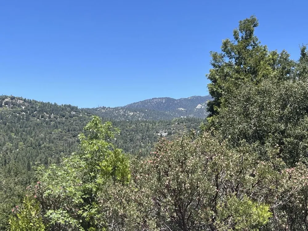 Middleridge Drive Idyllwild, CA 92549