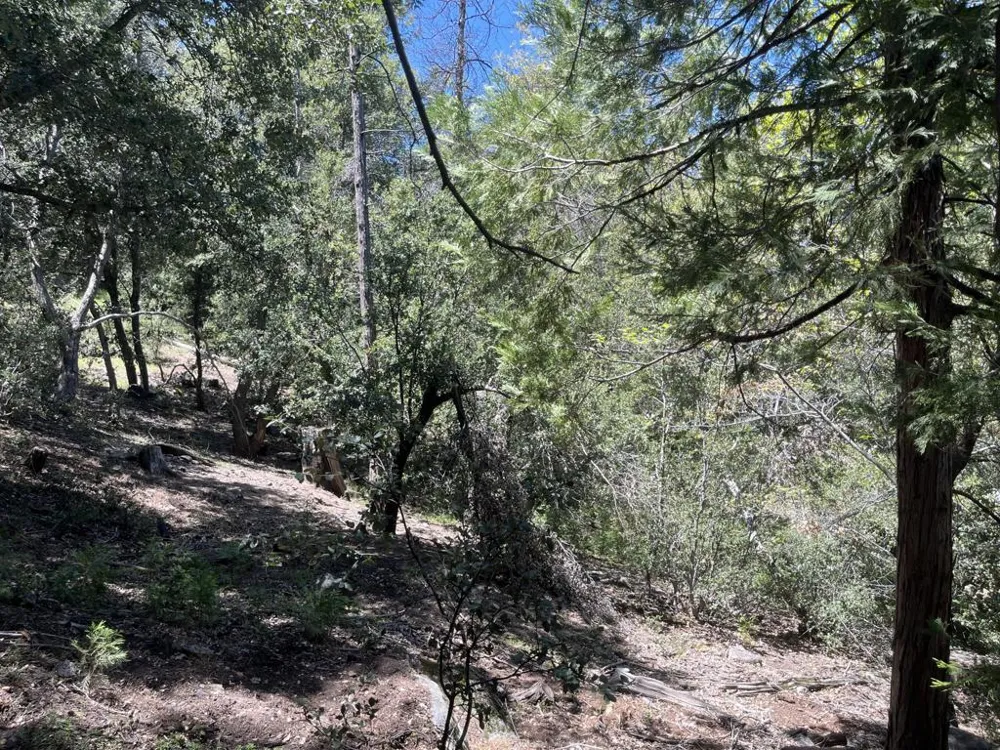 Middleridge Drive Idyllwild, CA 92549