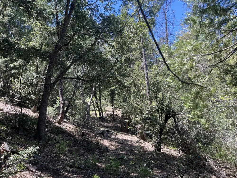 Middleridge Drive Idyllwild, CA 92549