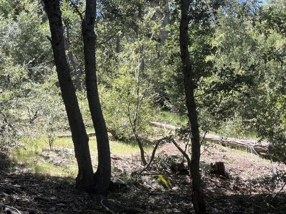 Middleridge Drive Idyllwild, CA 92549