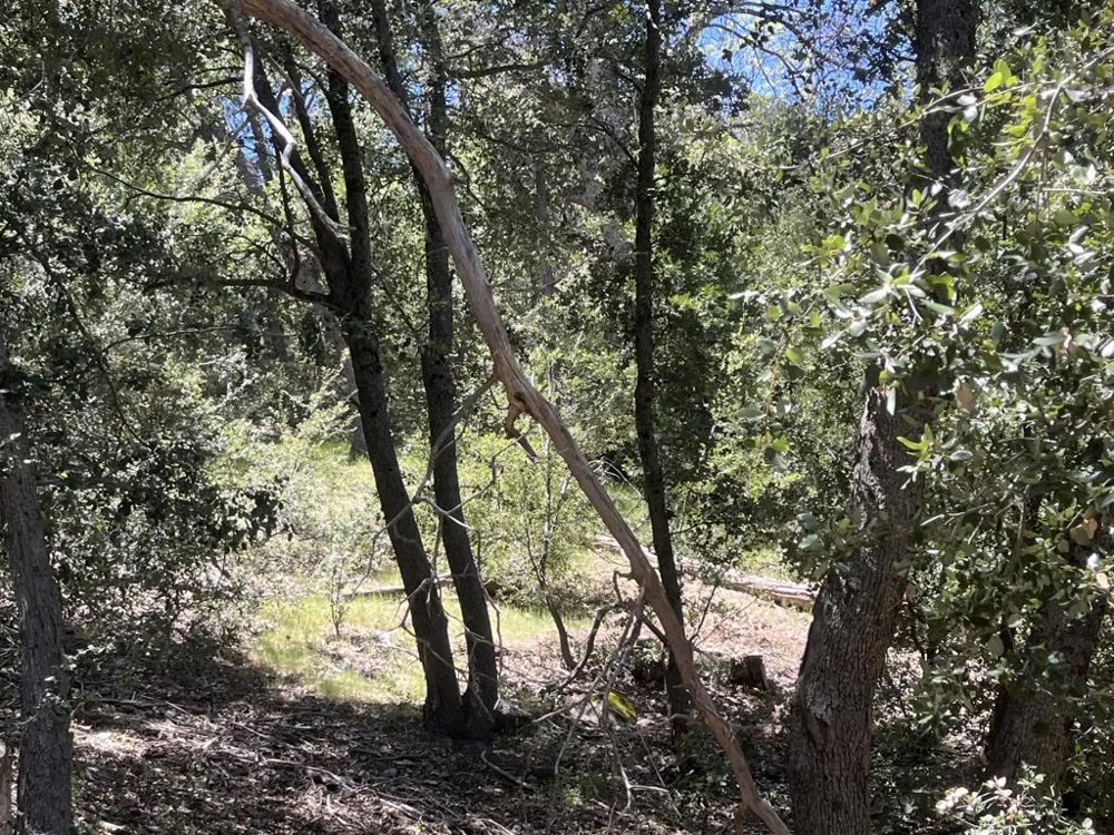 Middleridge Drive Idyllwild, CA 92549