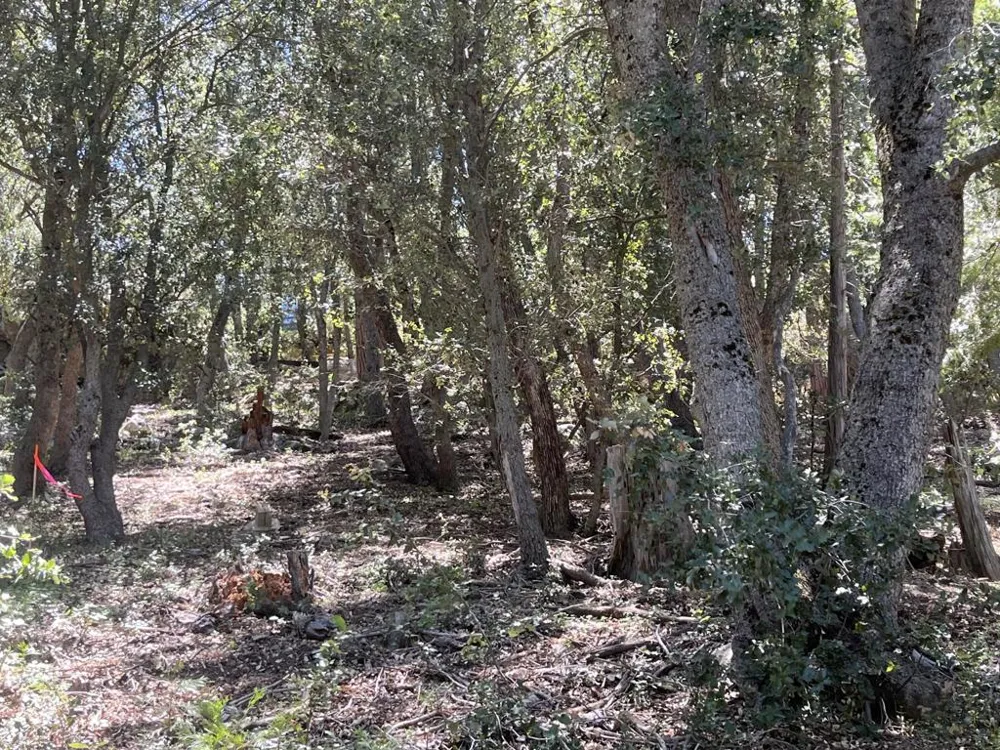 Middleridge Drive Idyllwild, CA 92549