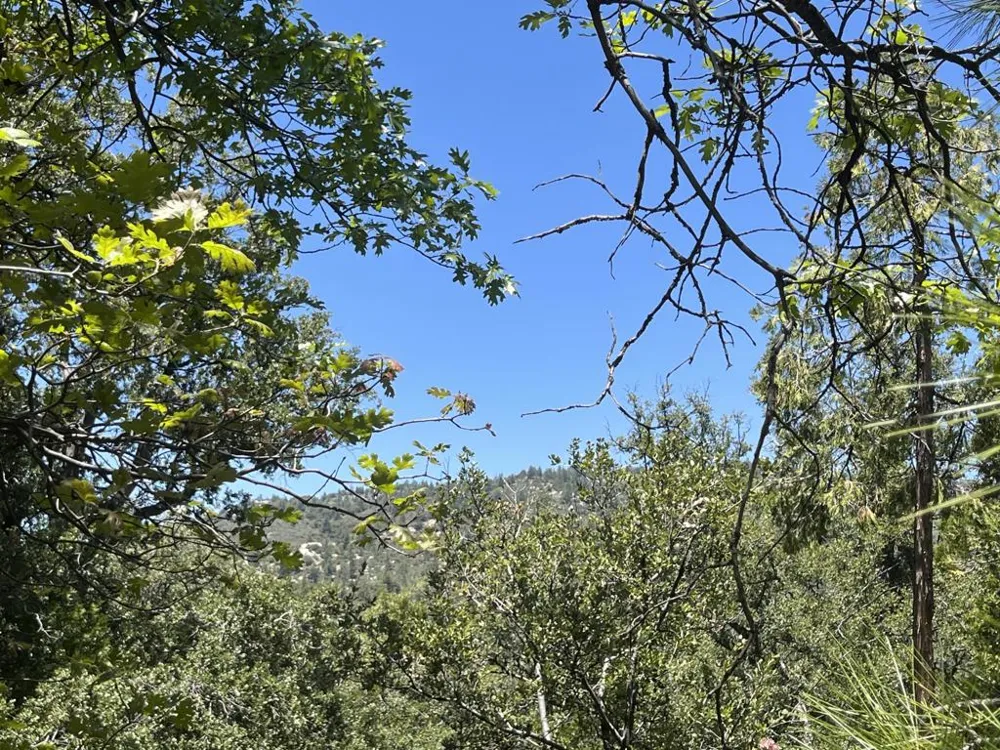 Middleridge Drive Idyllwild, CA 92549