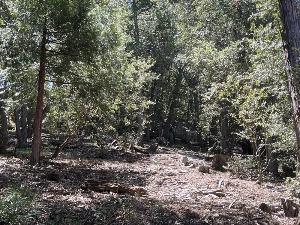 Middleridge Drive Idyllwild, CA 92549