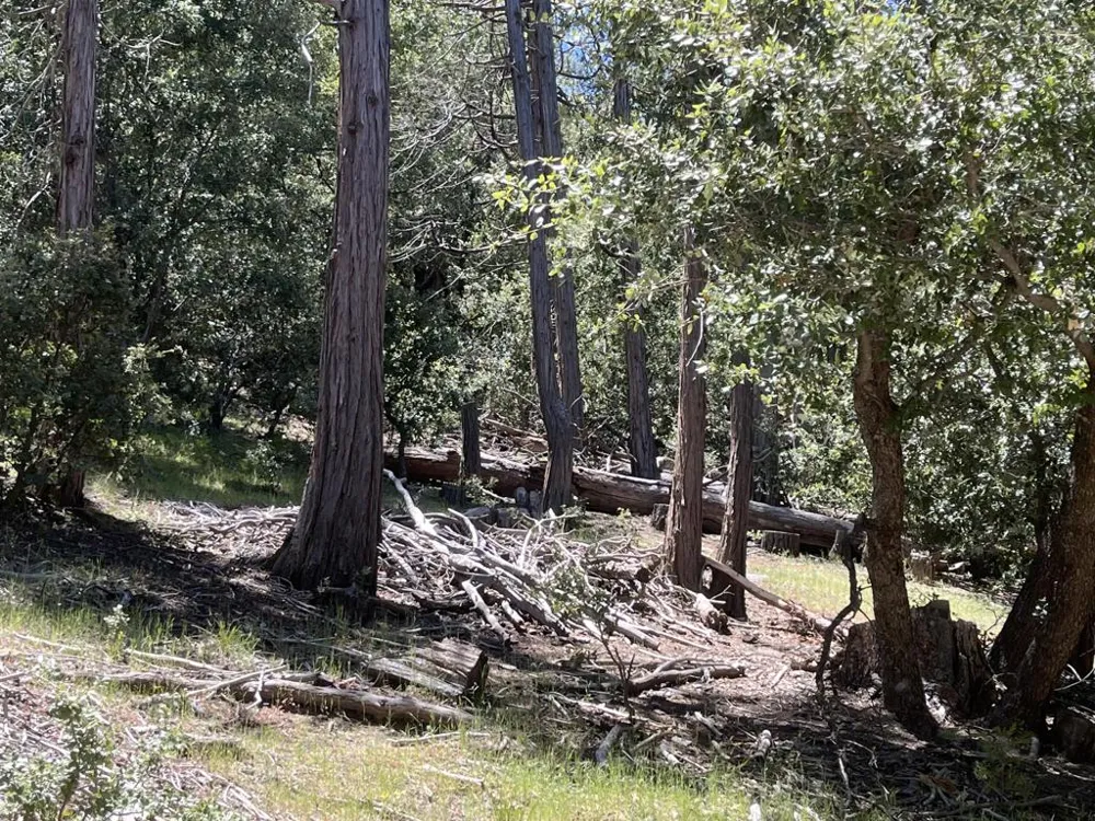 Middleridge Drive Idyllwild, CA 92549