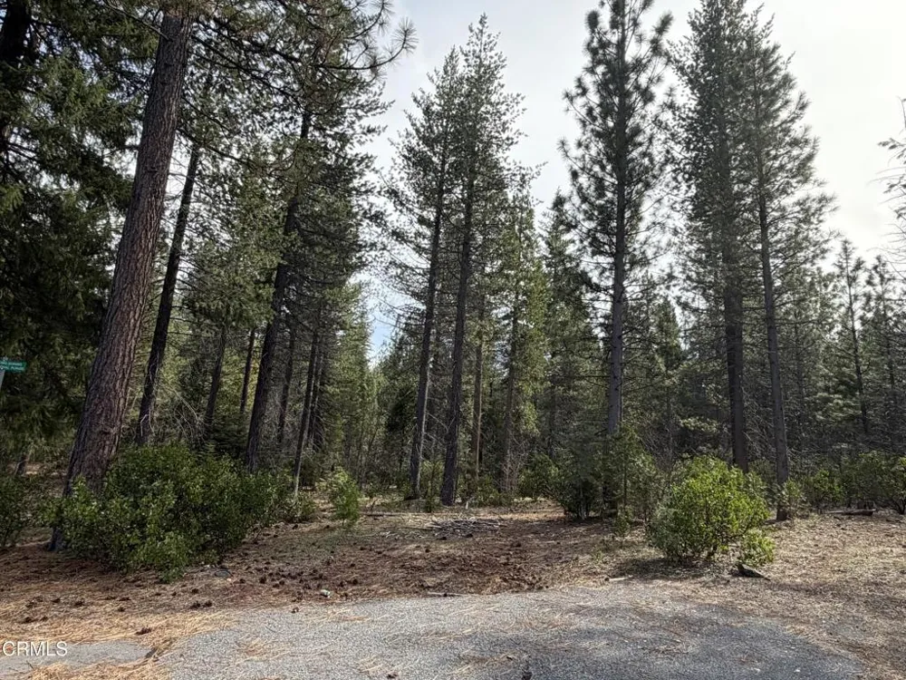 1 Kirby Court Burney, CA 96013