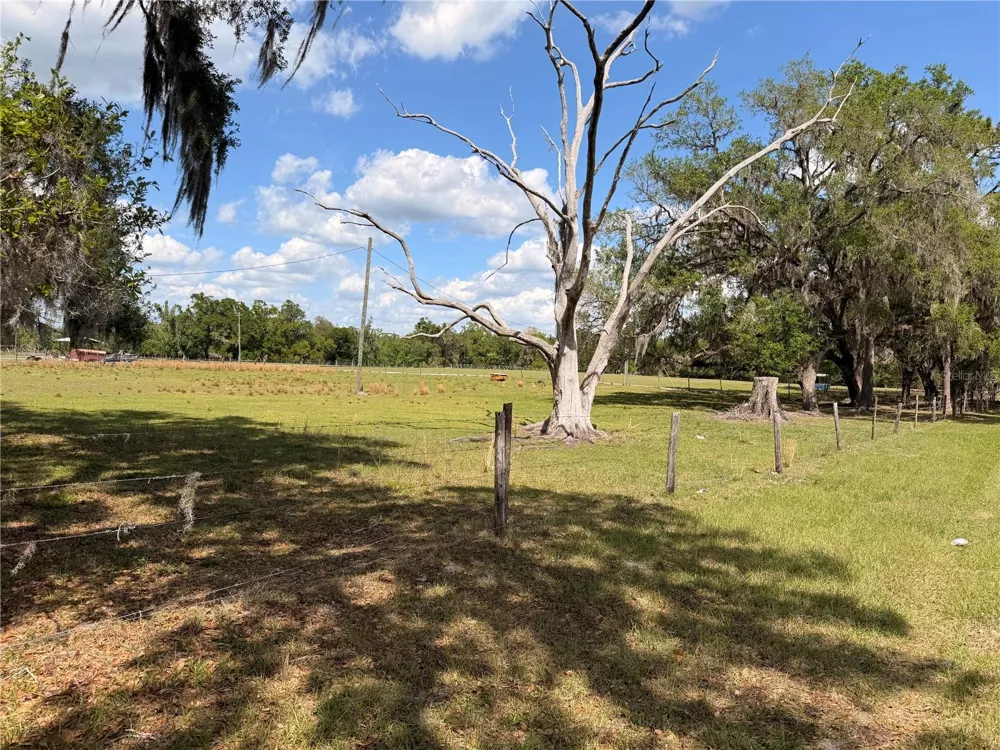 20512 RAMER ROAD Dade City, FL 33523