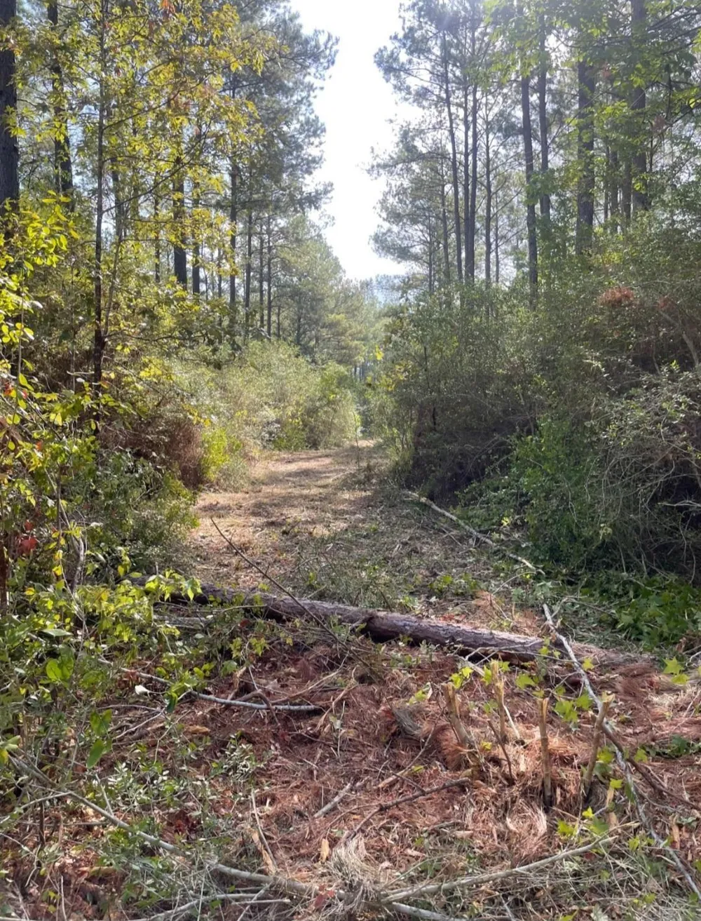 Whitmire Road Trinity, TX 75862