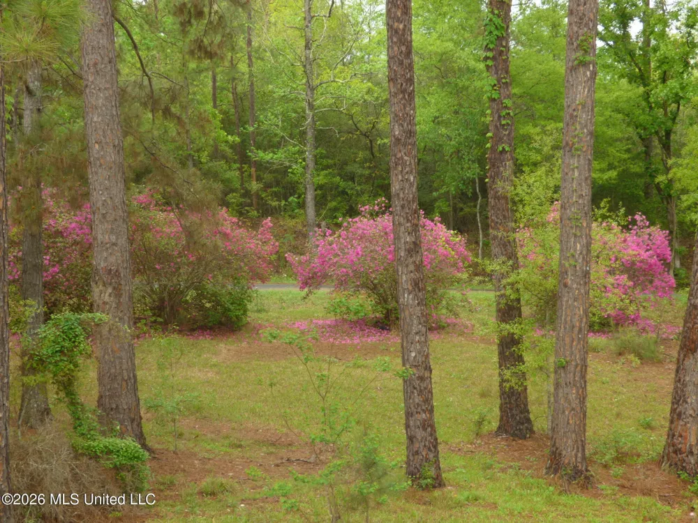 326 Roan Ready Road Monticello, MS 39654