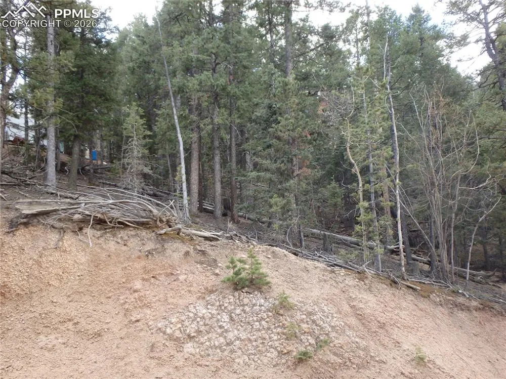 620 Wakanda Trail Woodland Park, CO 80863