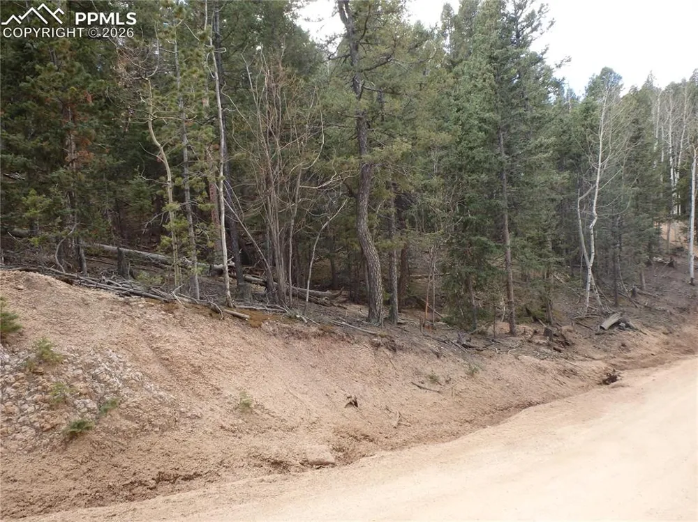 620 Wakanda Trail Woodland Park, CO 80863