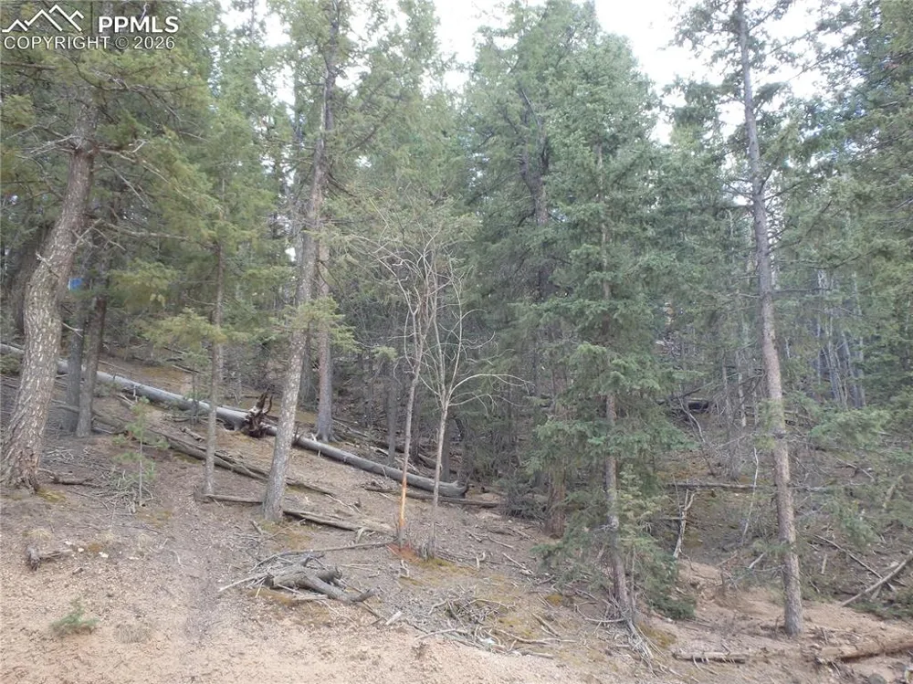 620 Wakanda Trail Woodland Park, CO 80863