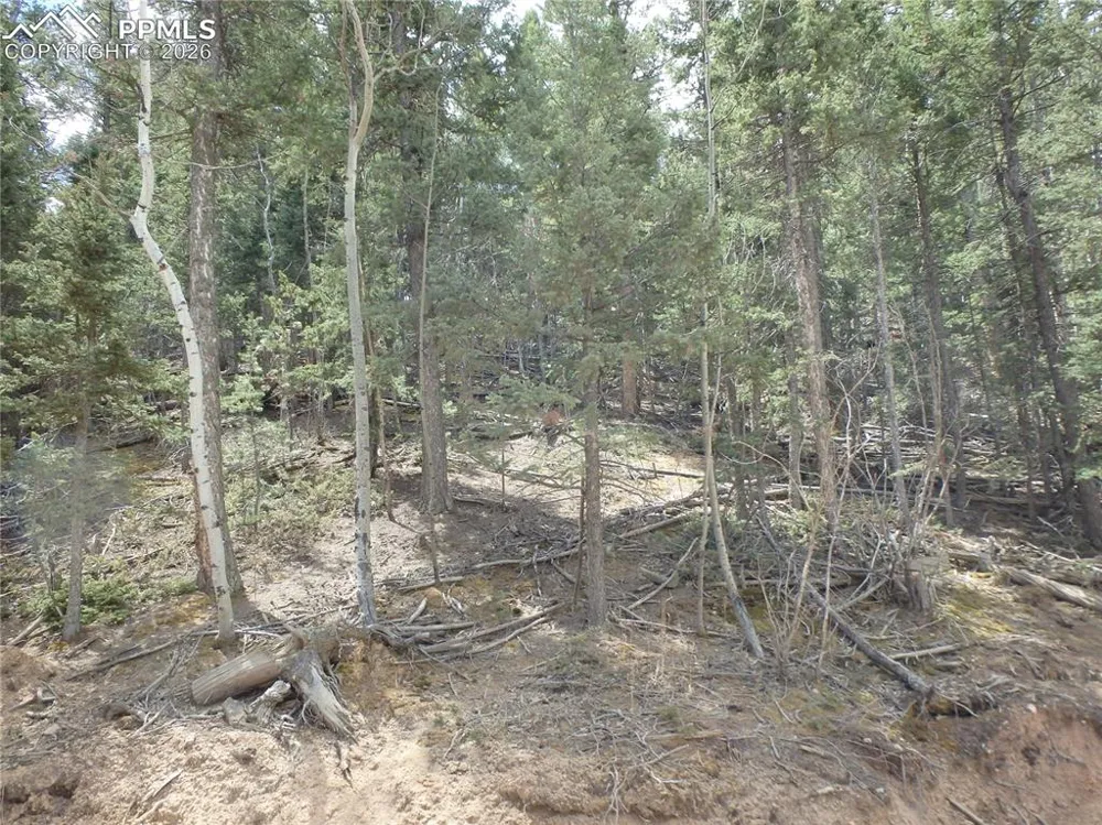 620 Wakanda Trail Woodland Park, CO 80863