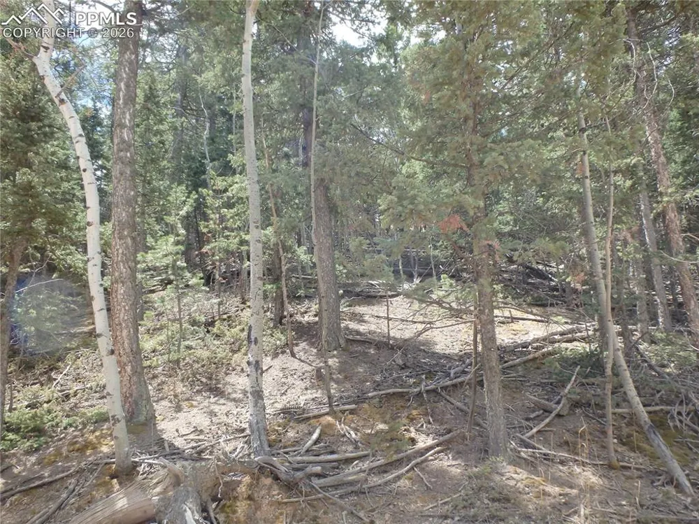 620 Wakanda Trail Woodland Park, CO 80863