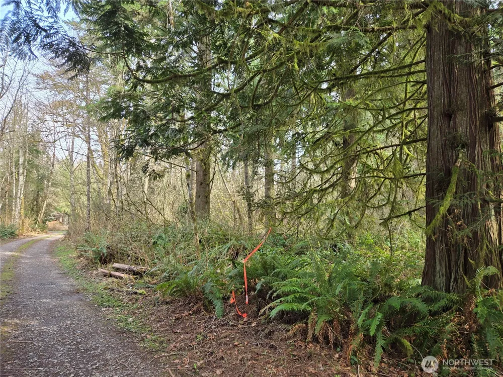 197 xx 242nd Avenue NE Woodinville, WA 98077