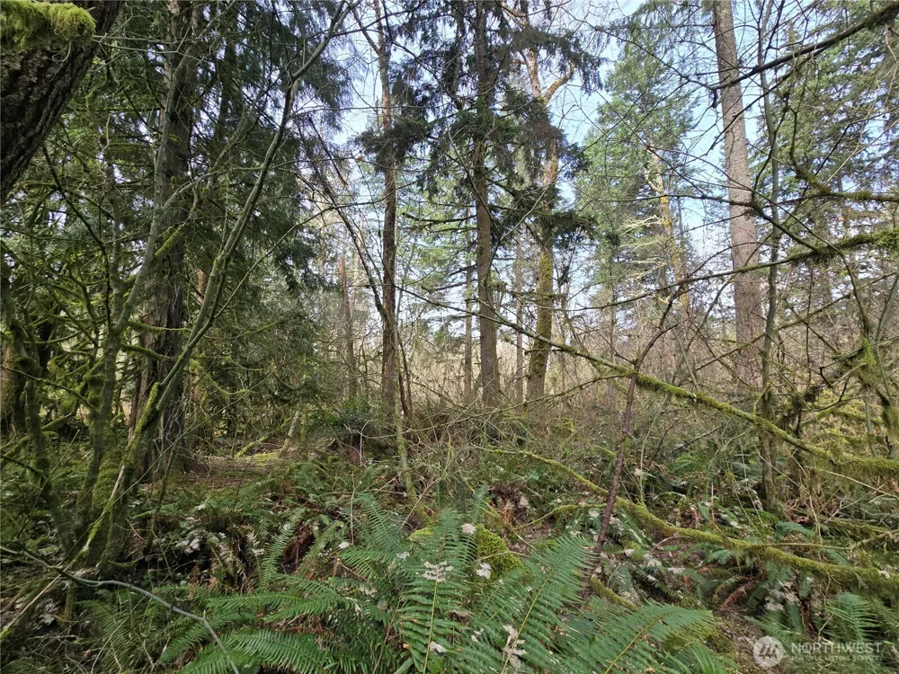 197 xx 242nd Avenue NE Woodinville, WA 98077