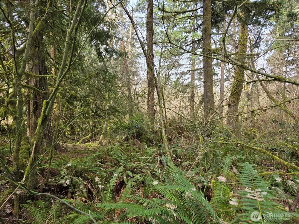 197 xx 242nd Avenue NE Woodinville, WA 98077