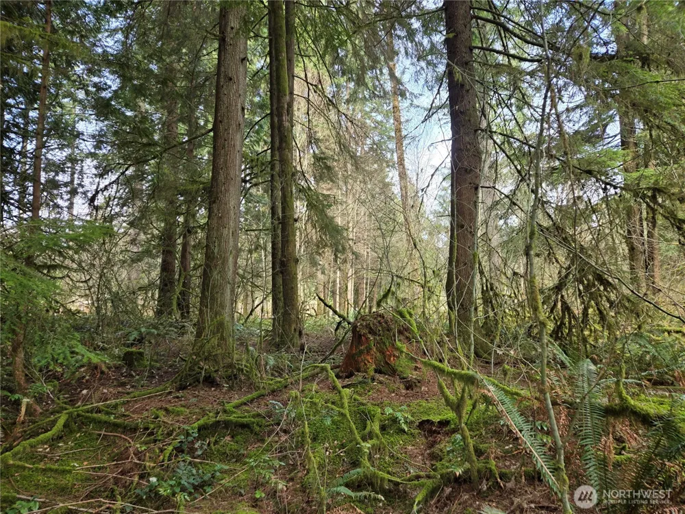197 xx 242nd Avenue NE Woodinville, WA 98077
