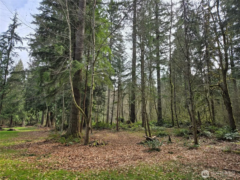 197 xx 242nd Avenue NE Woodinville, WA 98077