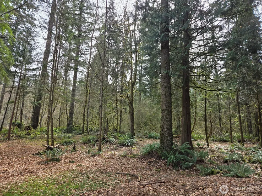 197 xx 242nd Avenue NE Woodinville, WA 98077