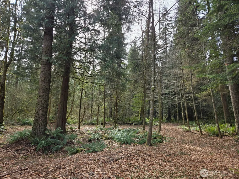 197 xx 242nd Avenue NE Woodinville, WA 98077