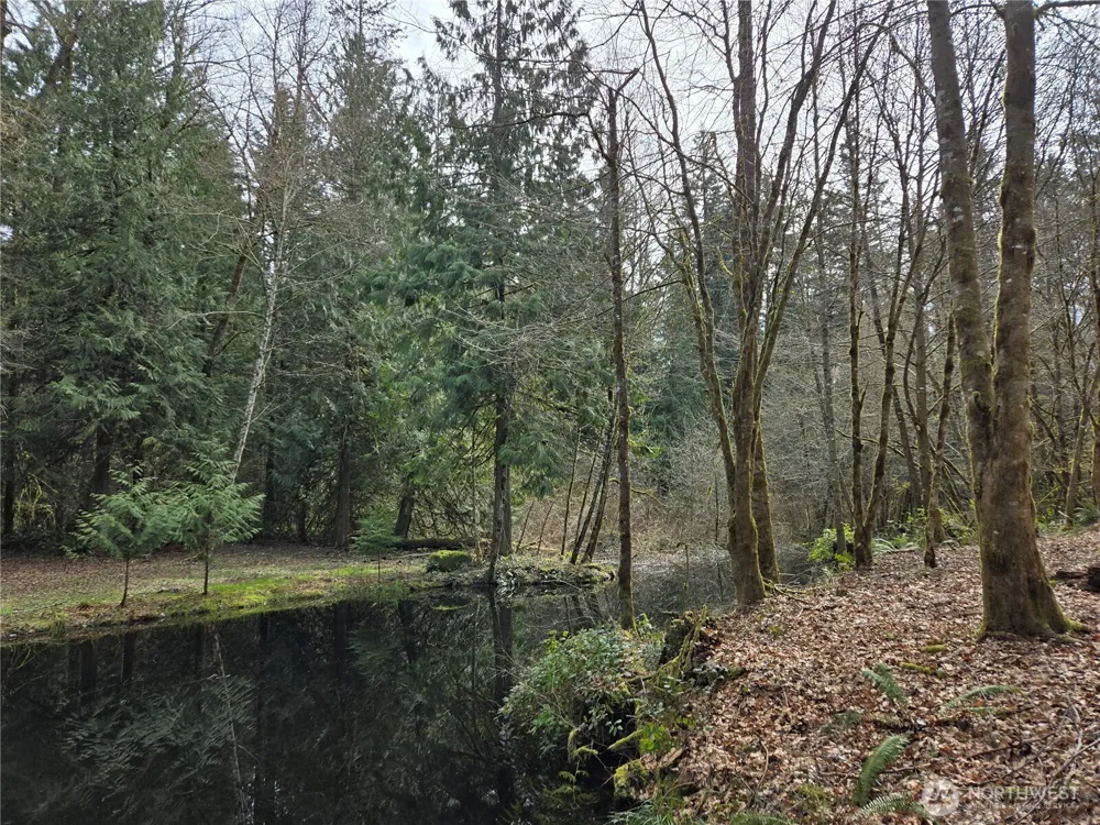 197 xx 242nd Avenue NE Woodinville, WA 98077
