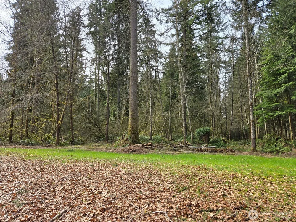 197 xx 242nd Avenue NE Woodinville, WA 98077