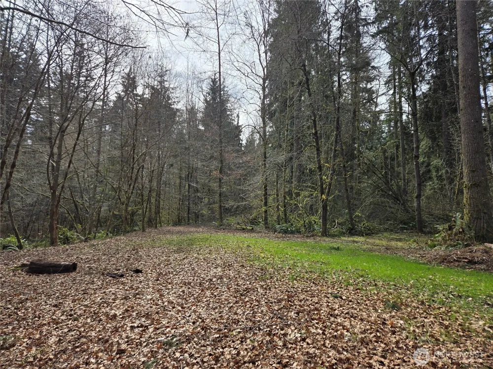 197 xx 242nd Avenue NE Woodinville, WA 98077
