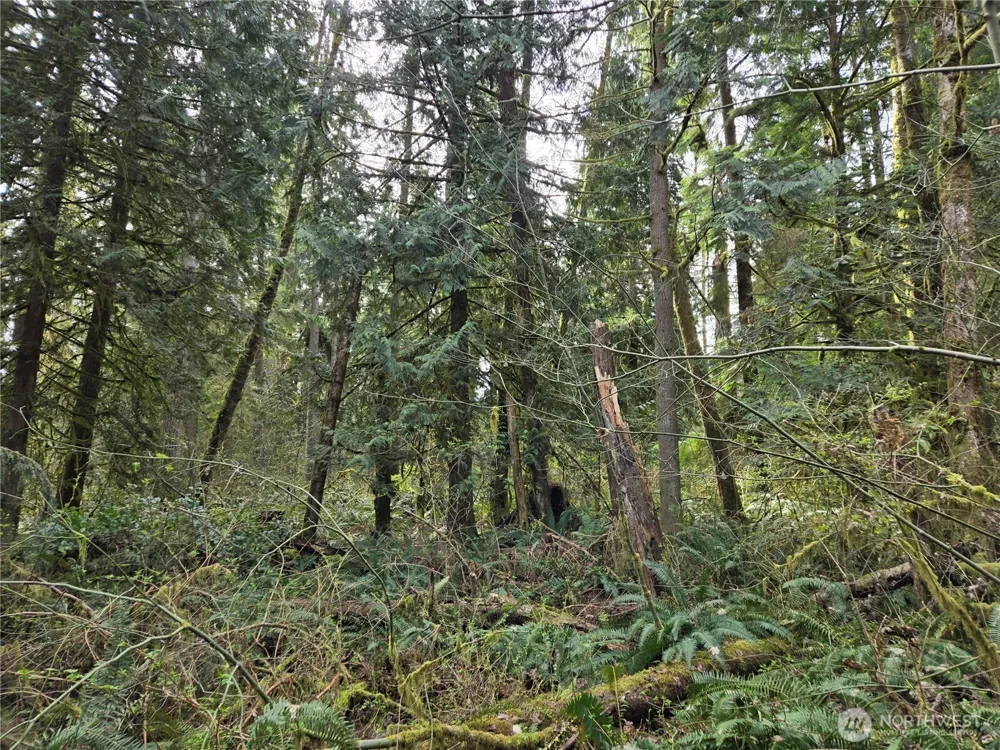 197 xx 242nd Avenue NE Woodinville, WA 98077