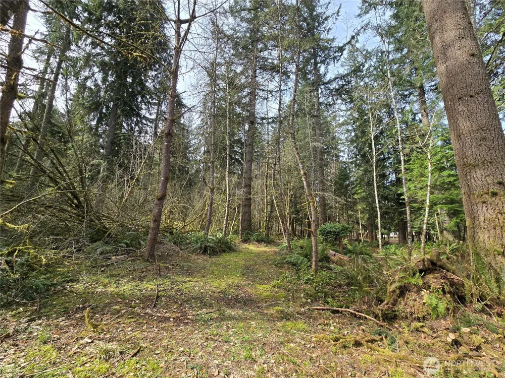 197 xx 242nd Avenue NE Woodinville, WA 98077