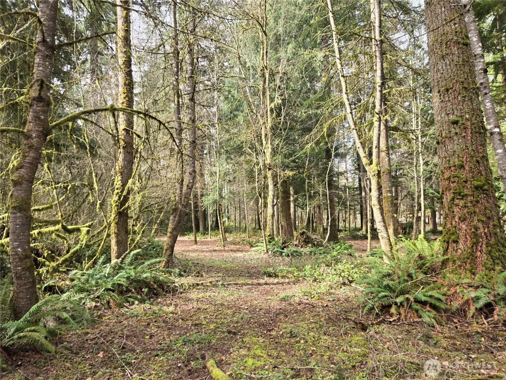 197 xx 242nd Avenue NE Woodinville, WA 98077