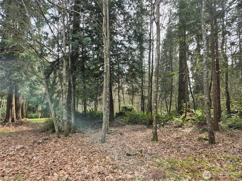 197 xx 242nd Avenue NE Woodinville, WA 98077