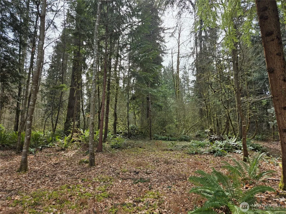 197 xx 242nd Avenue NE Woodinville, WA 98077