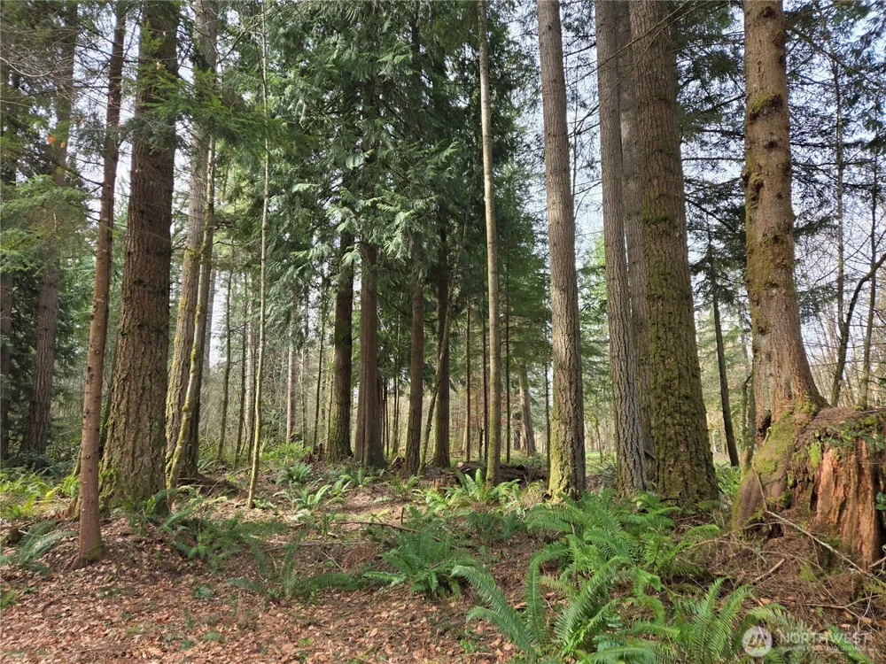 197 xx 242nd Avenue NE Woodinville, WA 98077