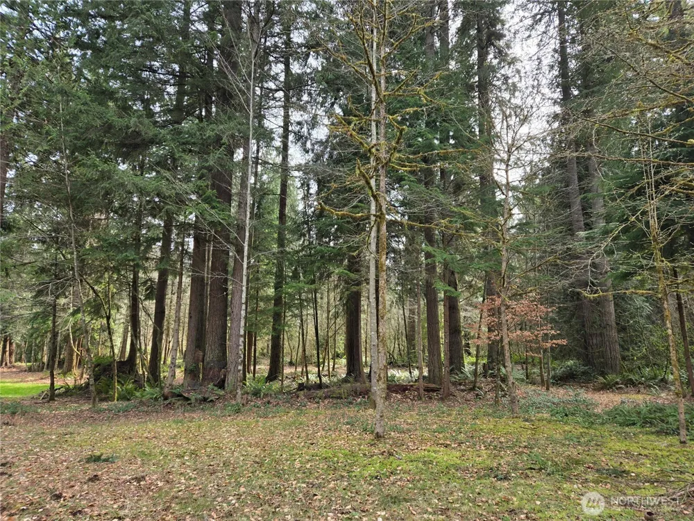 197 xx 242nd Avenue NE Woodinville, WA 98077