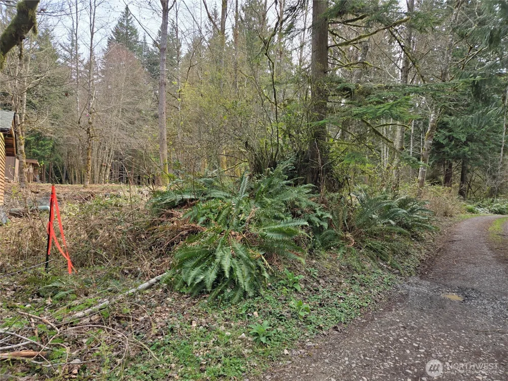 197 xx 242nd Avenue NE Woodinville, WA 98077