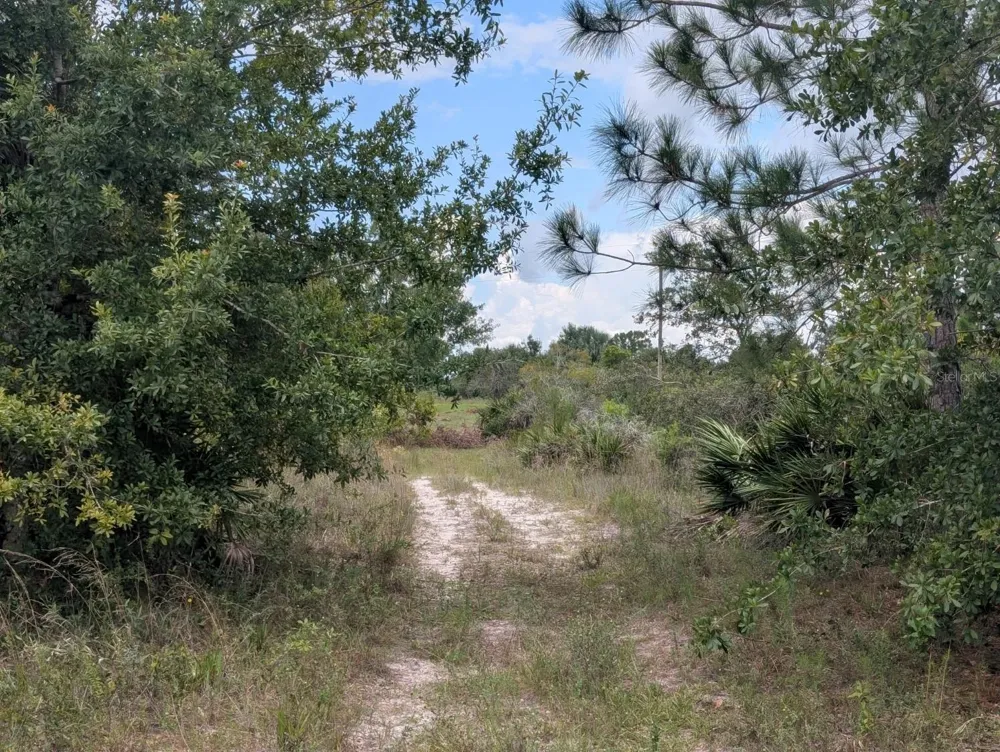 18235 NW 250TH STREET Okeechobee, FL 34972