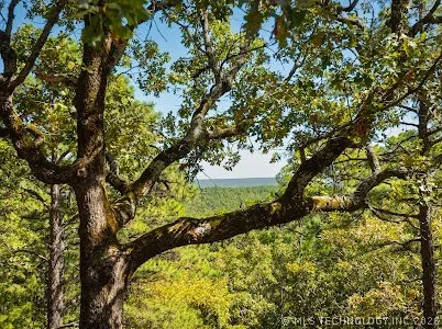 5016 Kw Moyers, OK 74557