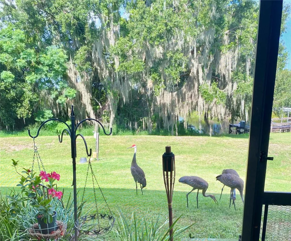1051 GREEN GATE BOULEVARD Groveland, FL 34736