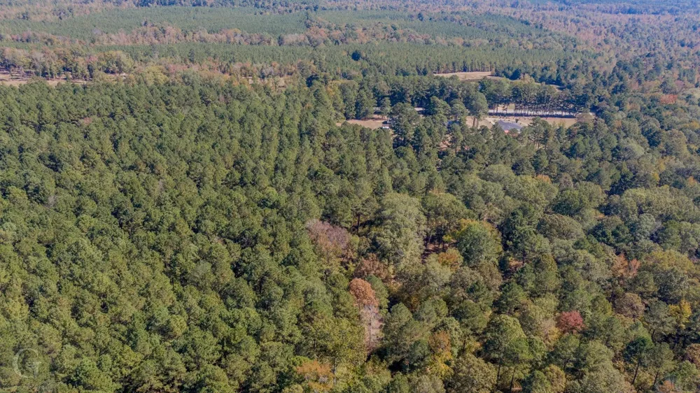 Hwy 159 Minden, LA 71055