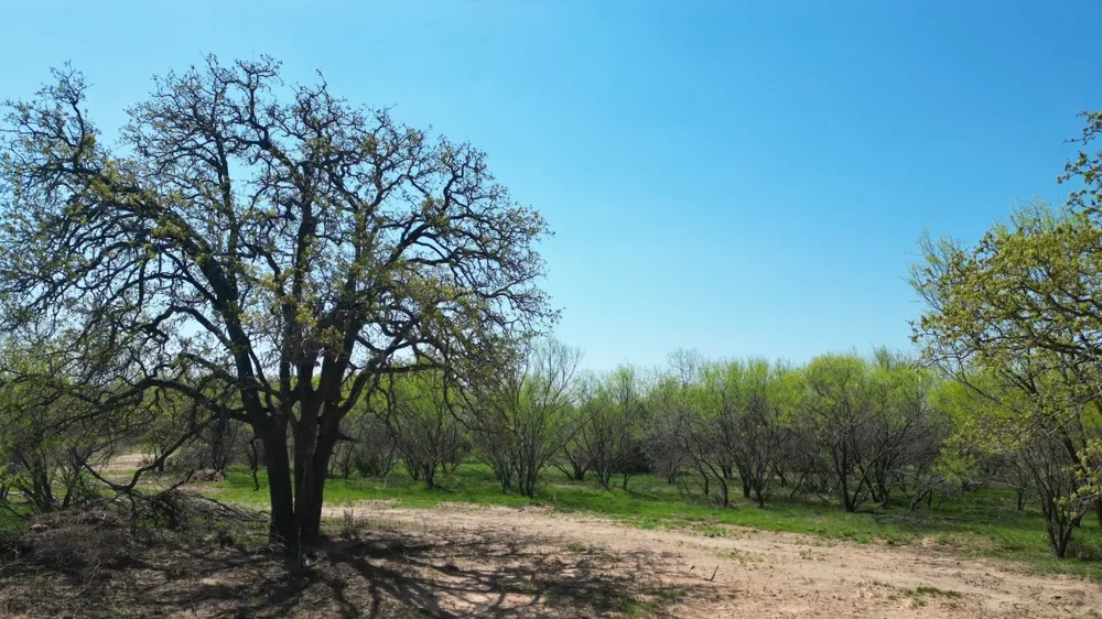 Co Rd 340 Ranger, TX 76470
